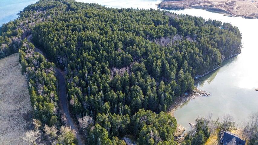 20240305005435495410000000-o