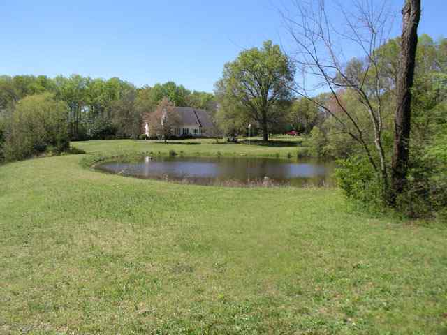237 McMurtrey Road Pendleton, SC 29670 - Photo 2 of 10