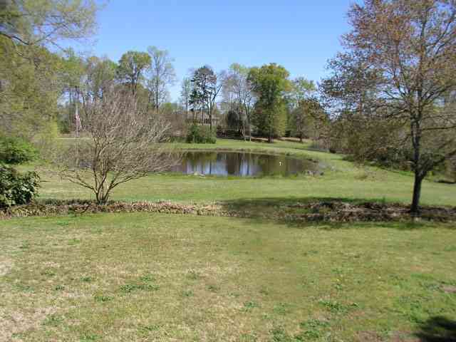 237 McMurtrey Road Pendleton, SC 29670 - Photo 3 of 10