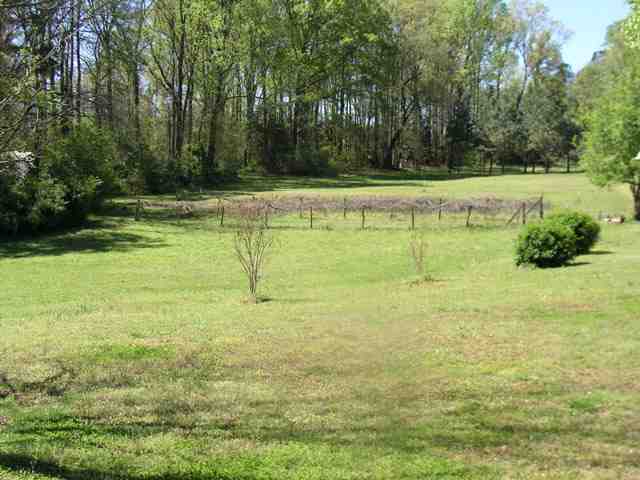 237 McMurtrey Road Pendleton, SC 29670 - Photo 5 of 10