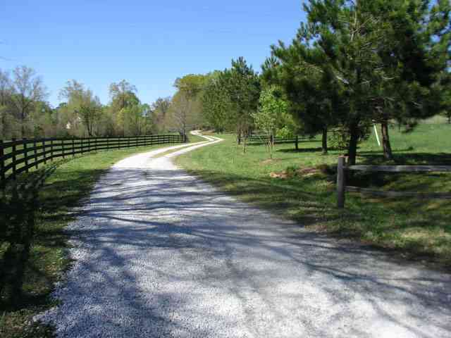 237 McMurtrey Road Pendleton, SC 29670 - Photo 6 of 10