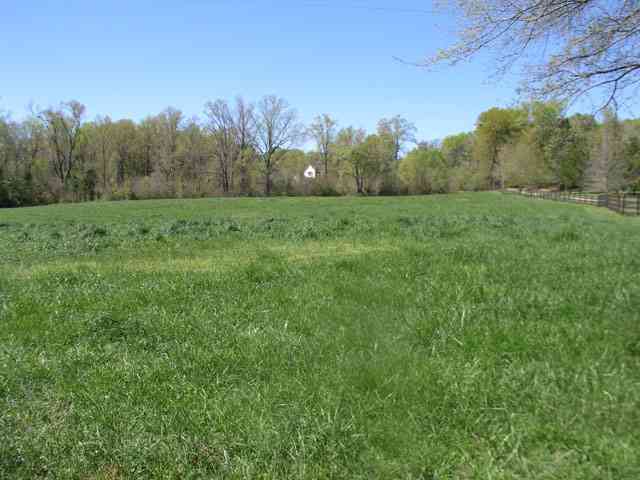 237 McMurtrey Road Pendleton, SC 29670 - Photo 7 of 10