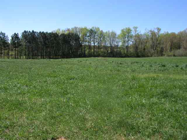 237 McMurtrey Road Pendleton, SC 29670 - Photo 10 of 10