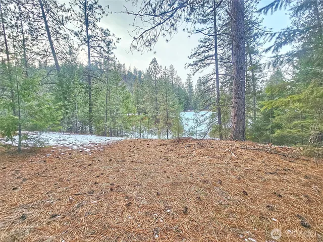a wooden bench with view of trees