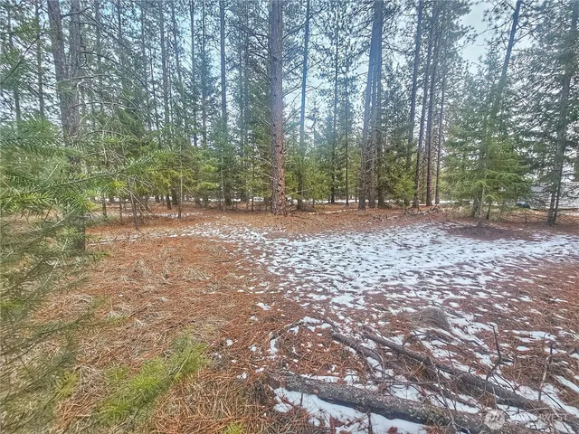a view of a yard with trees in the background