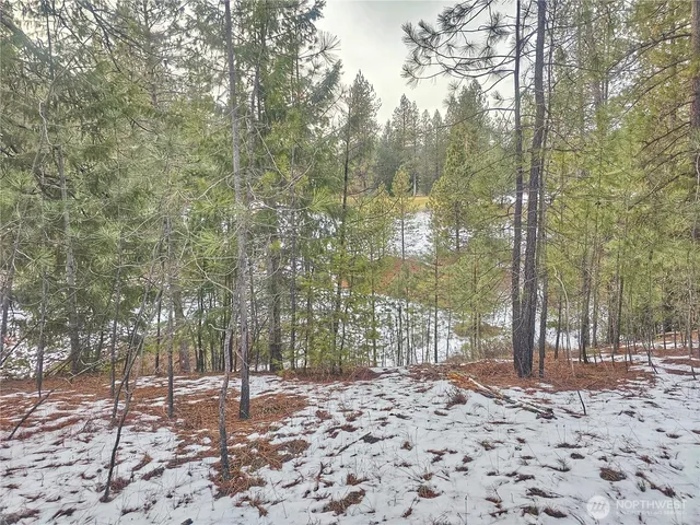 a pathway of a yard with trees