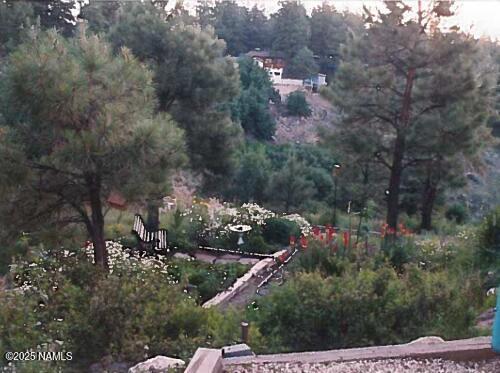 3074 Mesa Trail Flagstaff, AZ 86005 - Photo 25 of 26 Screenshot 2025-04-11 144313