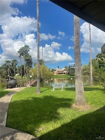 a view of a park with a large tree