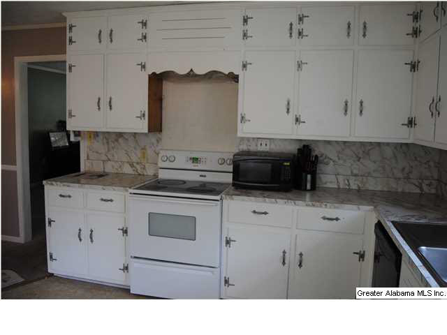 5140 Nisbet Lake Road Jacksonville, AL 36265 - Photo 8 of 26