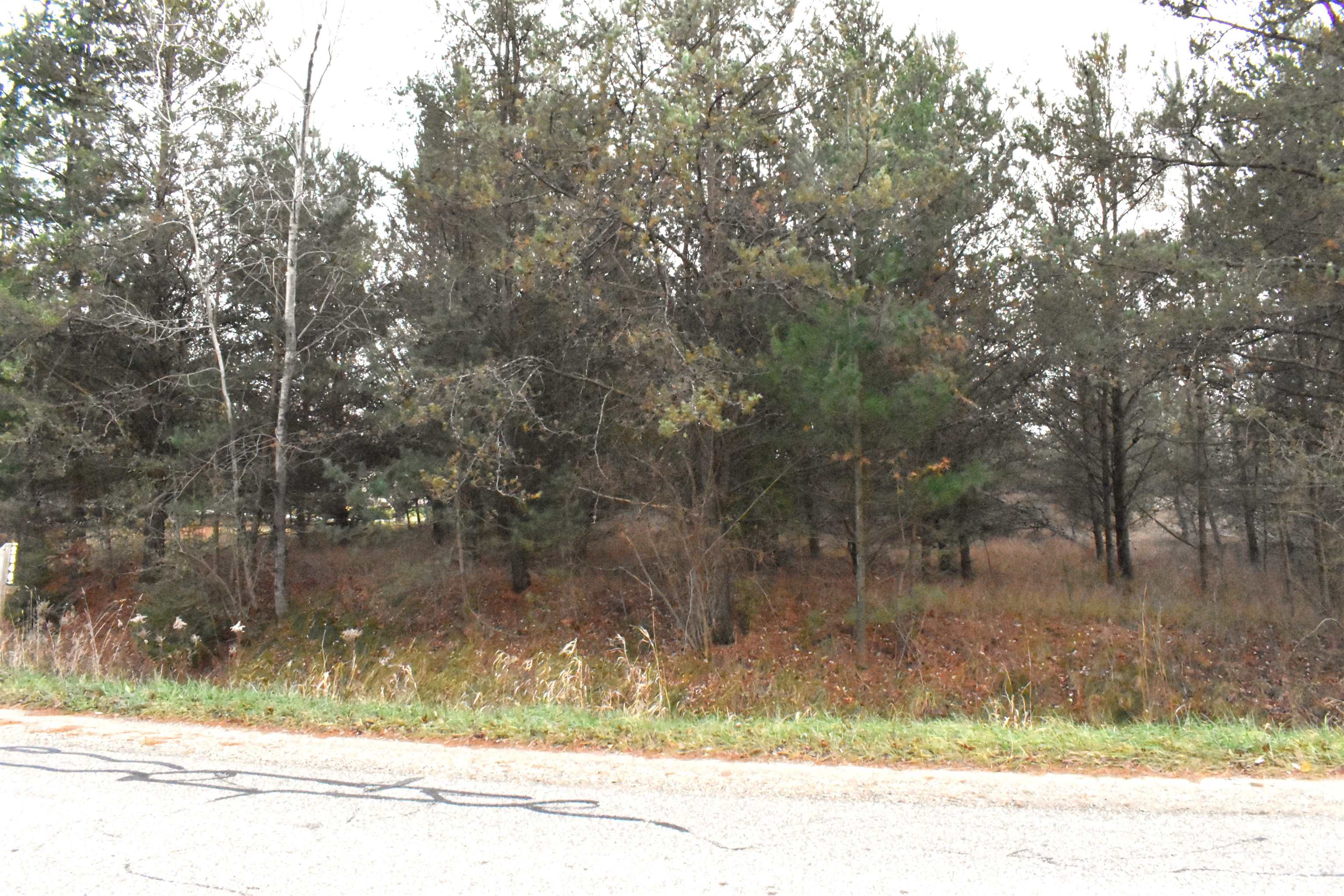 Lot 11 North Westchester Road Gladwin, MI 48624 - Photo 5 of 6
