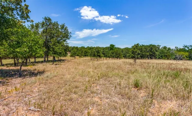 a view of a lake with a tree