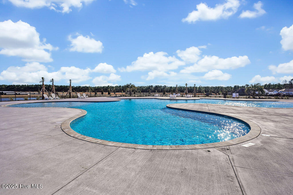 5358 Areca Road, Unit LOT 414 Castle Hayne, NC 28429 - Photo 26 of 37 SidburyStationAmenities-20