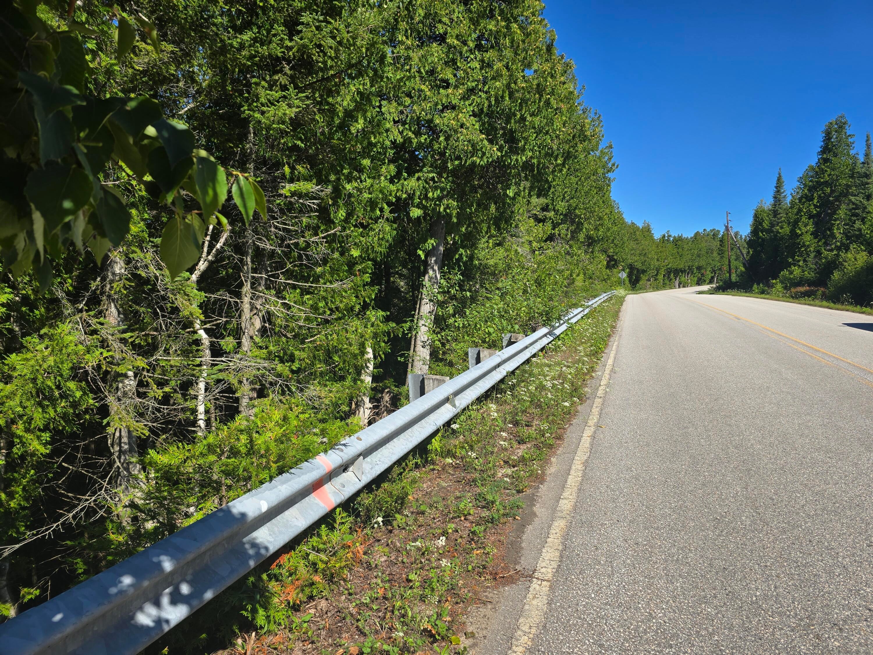 West Gros Cap Road St. Ignace, MI 49781 - Photo 9 of 48 Orange Survey line on guardrail