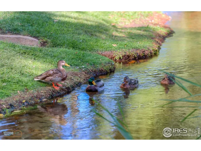 $530,000 | 1850 Folsom Street, Unit 1007, Boulder, CO 80302