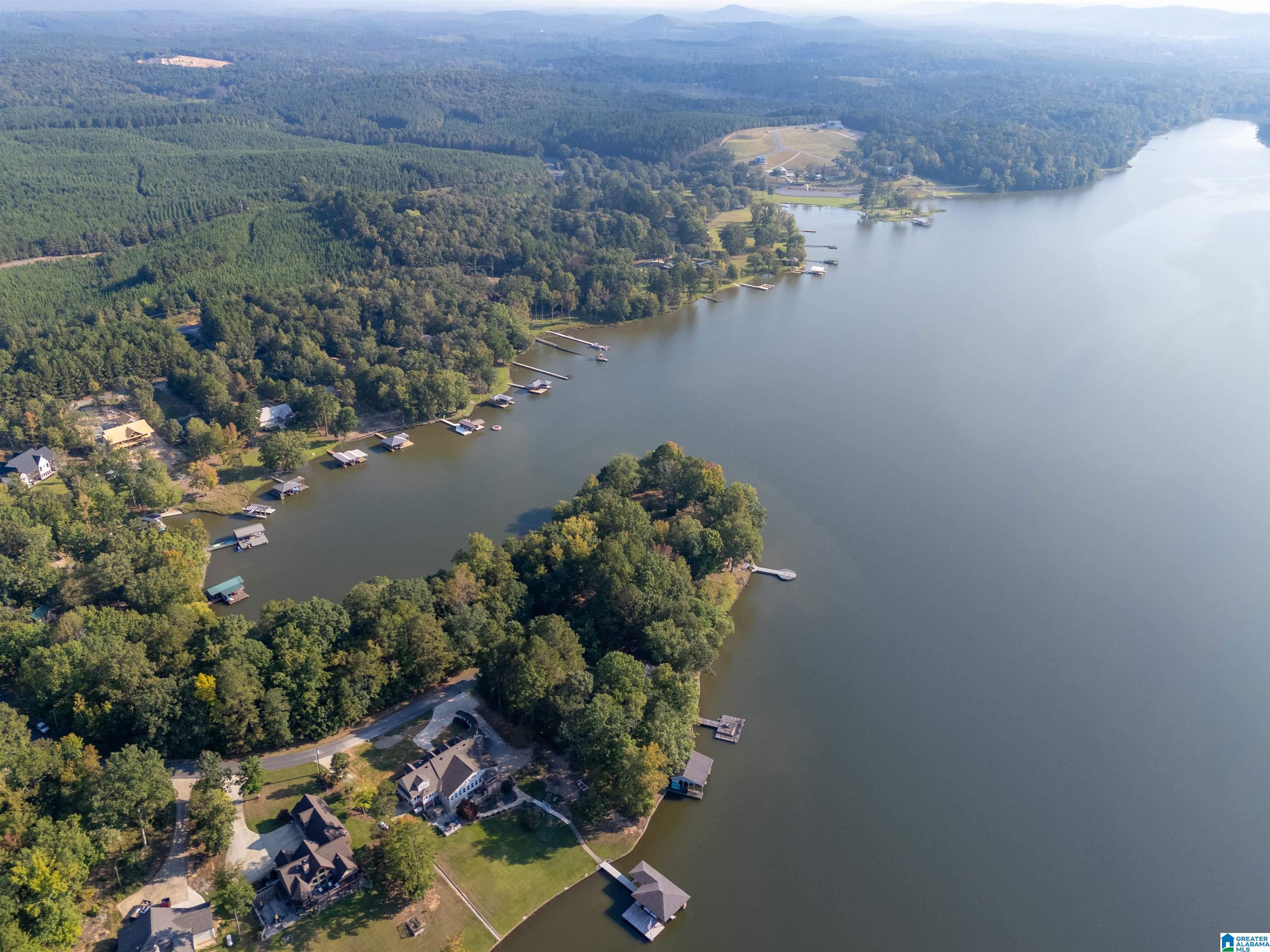 10 County Road, Unit 10 Cedar Bluff, AL 35959 - Photo 10 of 13