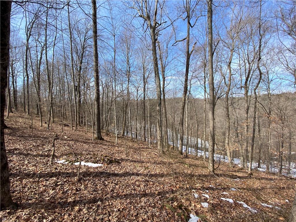 6732 4 Mile Ridge Road Nashville, IN 47448 - Photo 2 of 9