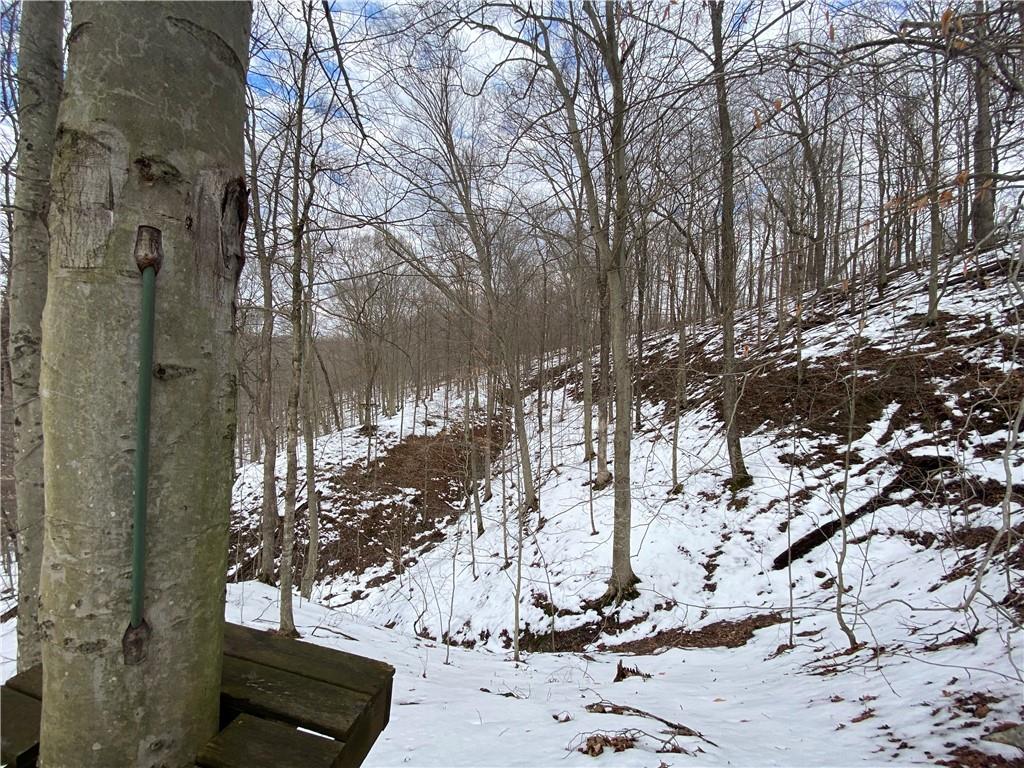 6732 4 Mile Ridge Road Nashville, IN 47448 - Photo 6 of 9