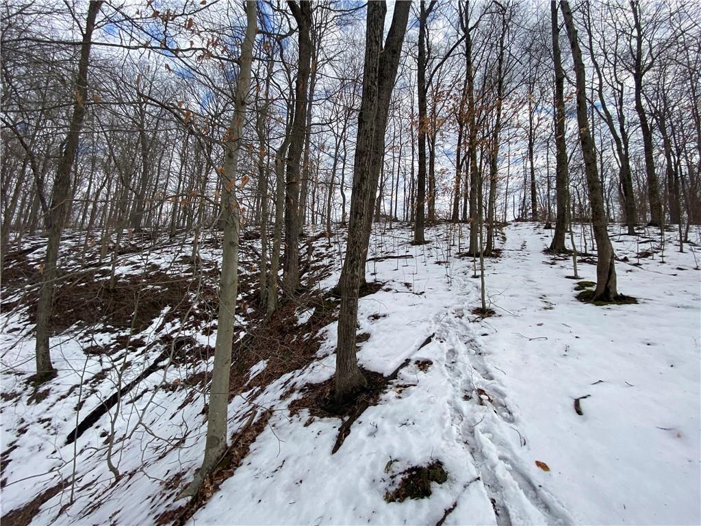 6732 4 Mile Ridge Road Nashville, IN 47448 - Photo 7 of 9