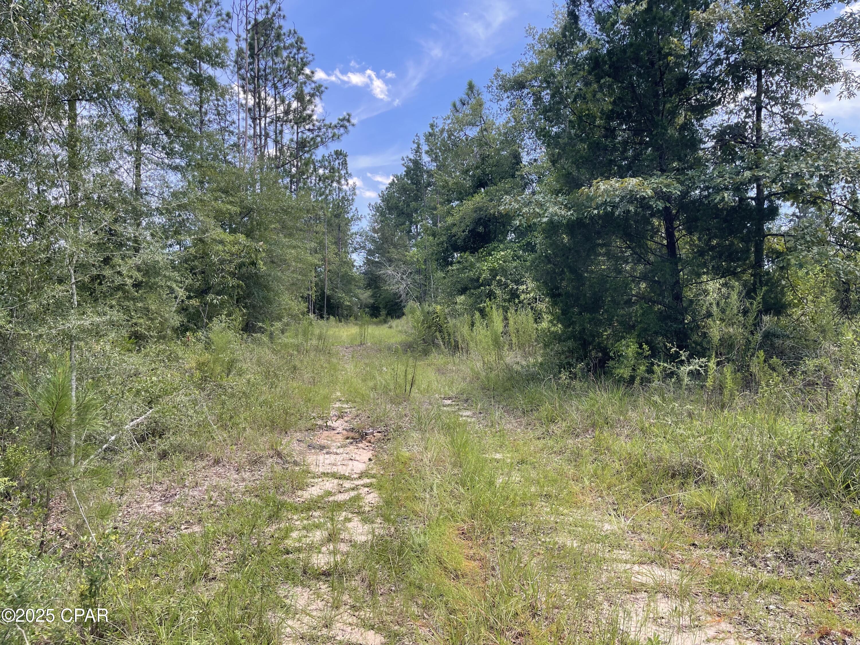 2826 Irene Road Ponce de Leon, FL 32455 - Photo 12 of 47