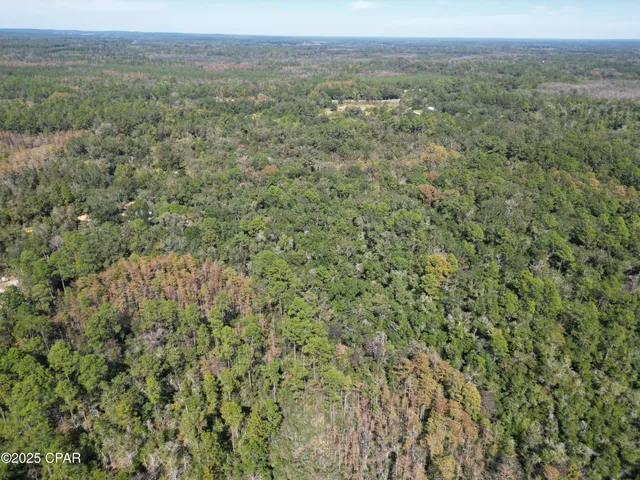 $429,000 | 2826 Irene Road, Ponce de Leon, FL 32455