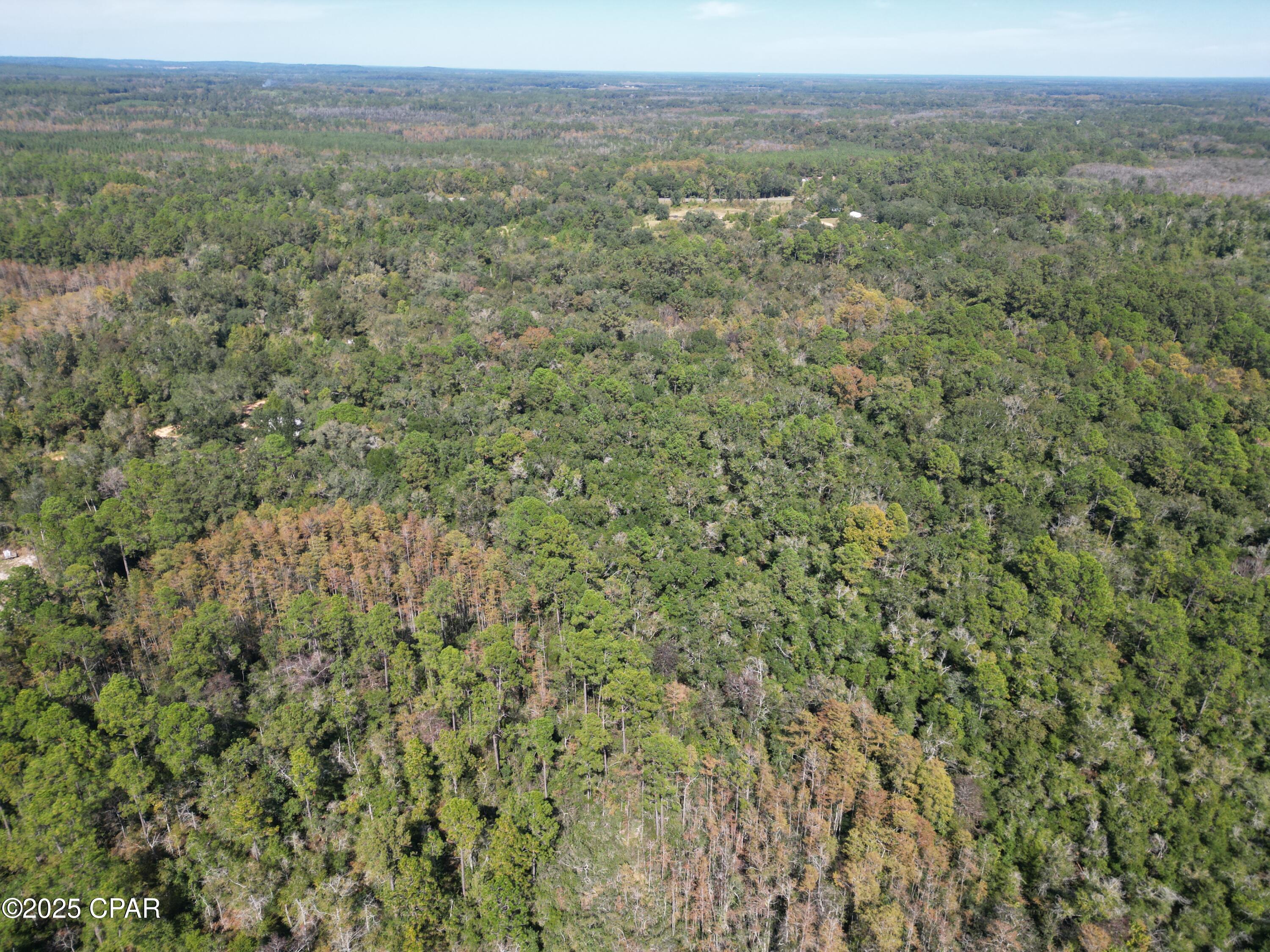 2826 Irene Road Ponce de Leon, FL 32455 - Photo 2 of 47