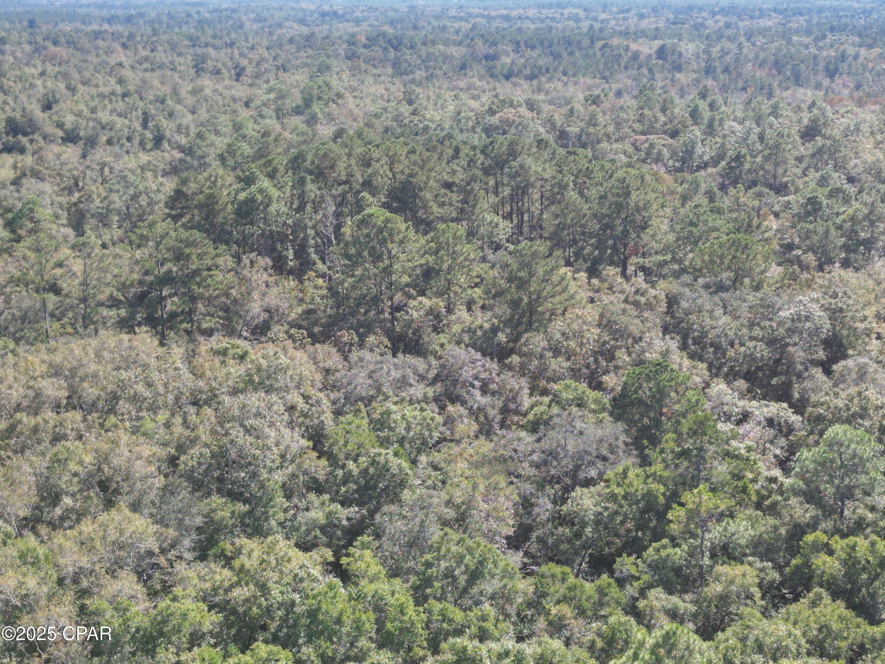 2826 Irene Road Ponce de Leon, FL 32455 - Photo 3 of 47