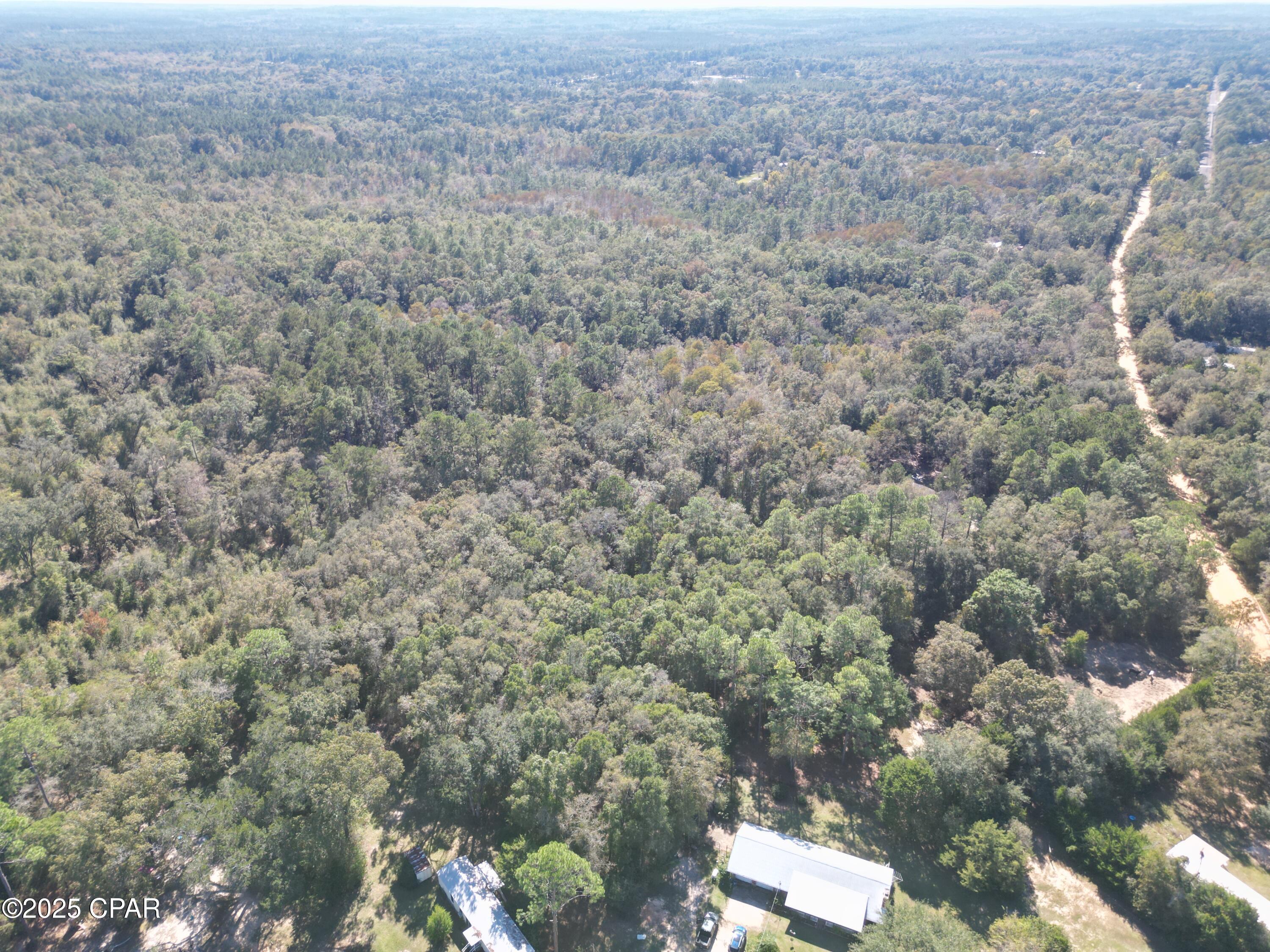 2826 Irene Road Ponce de Leon, FL 32455 - Photo 4 of 47