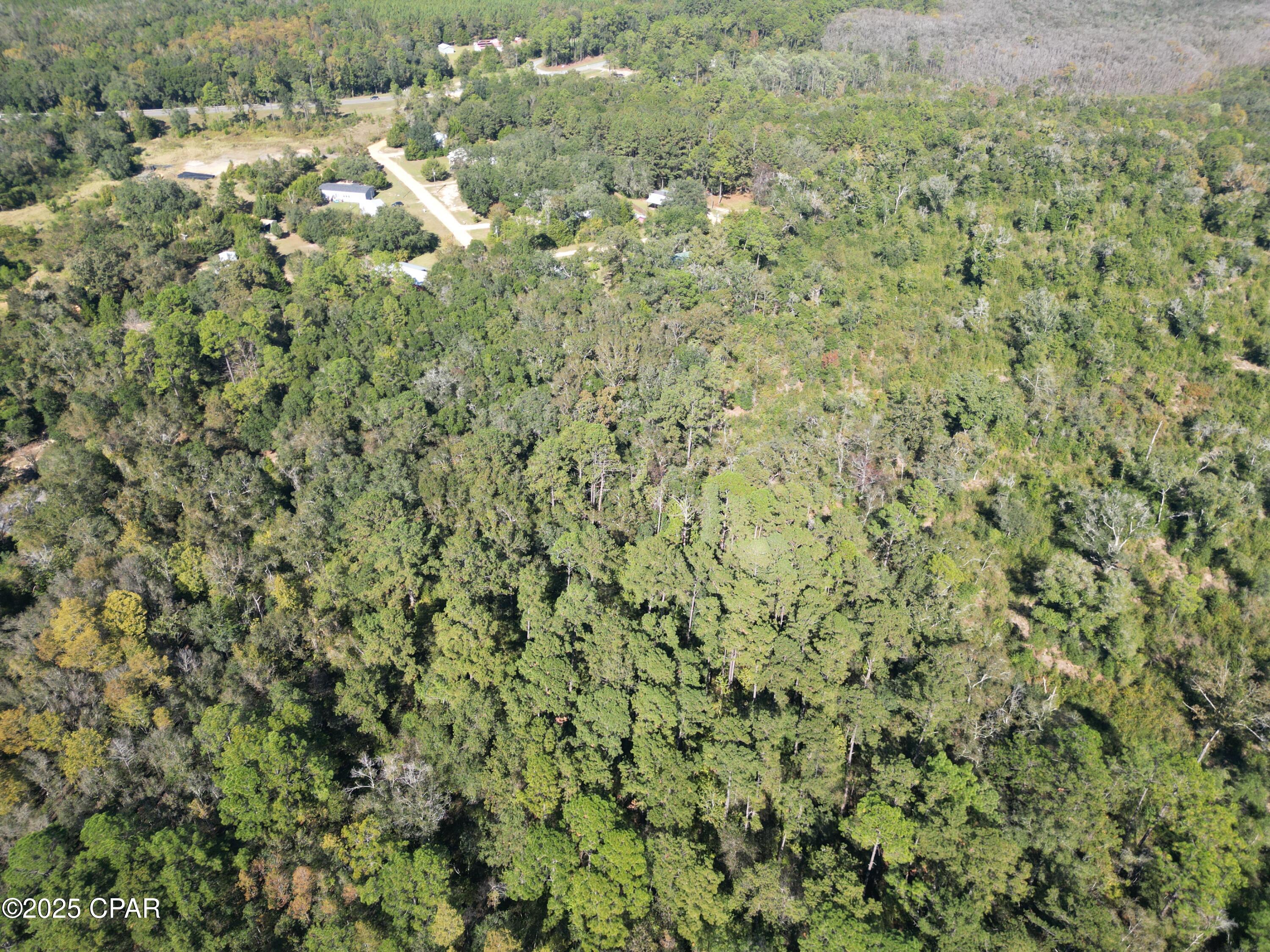 2826 Irene Road Ponce de Leon, FL 32455 - Photo 6 of 47