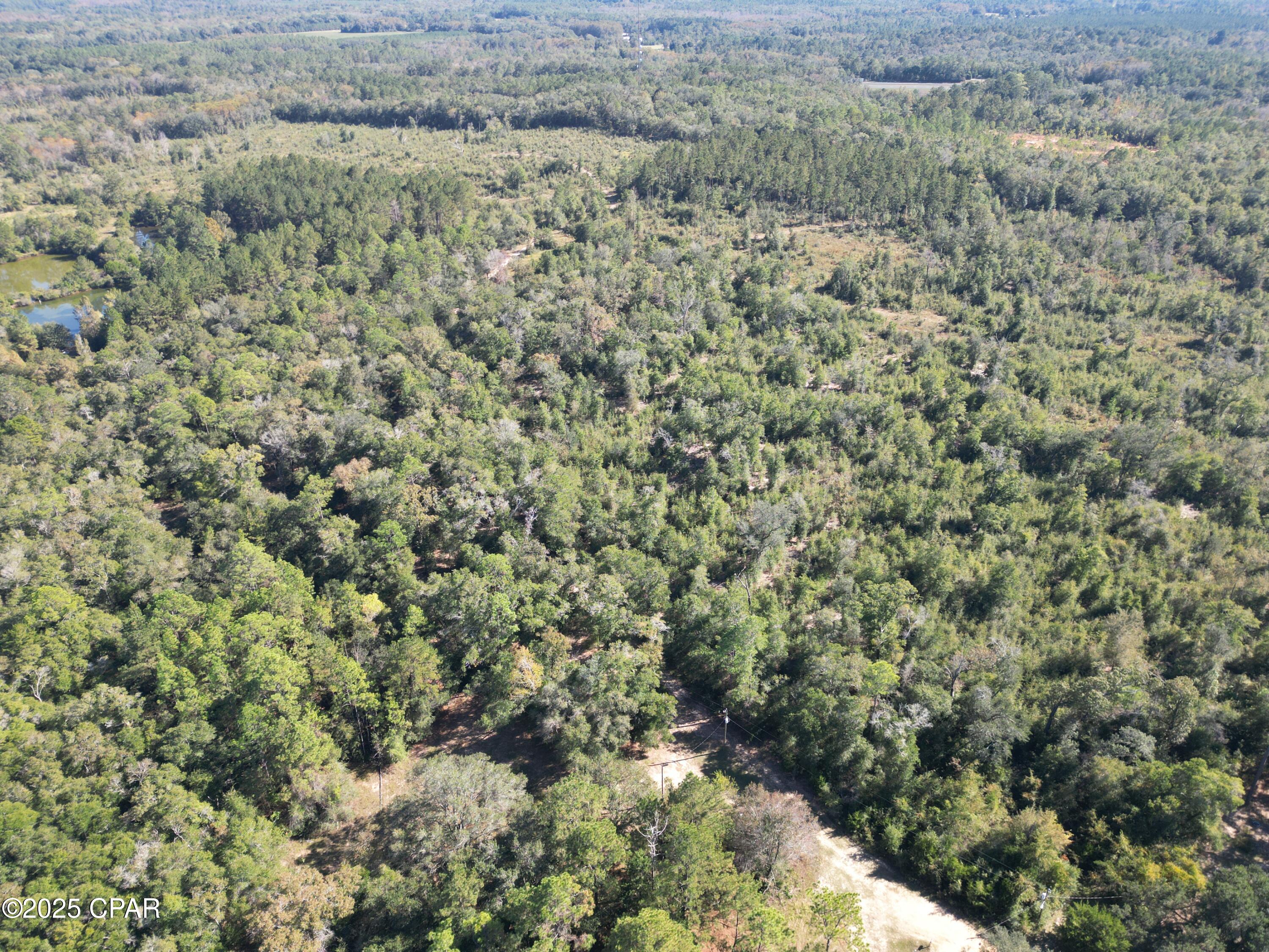 2826 Irene Road Ponce de Leon, FL 32455 - Photo 7 of 47