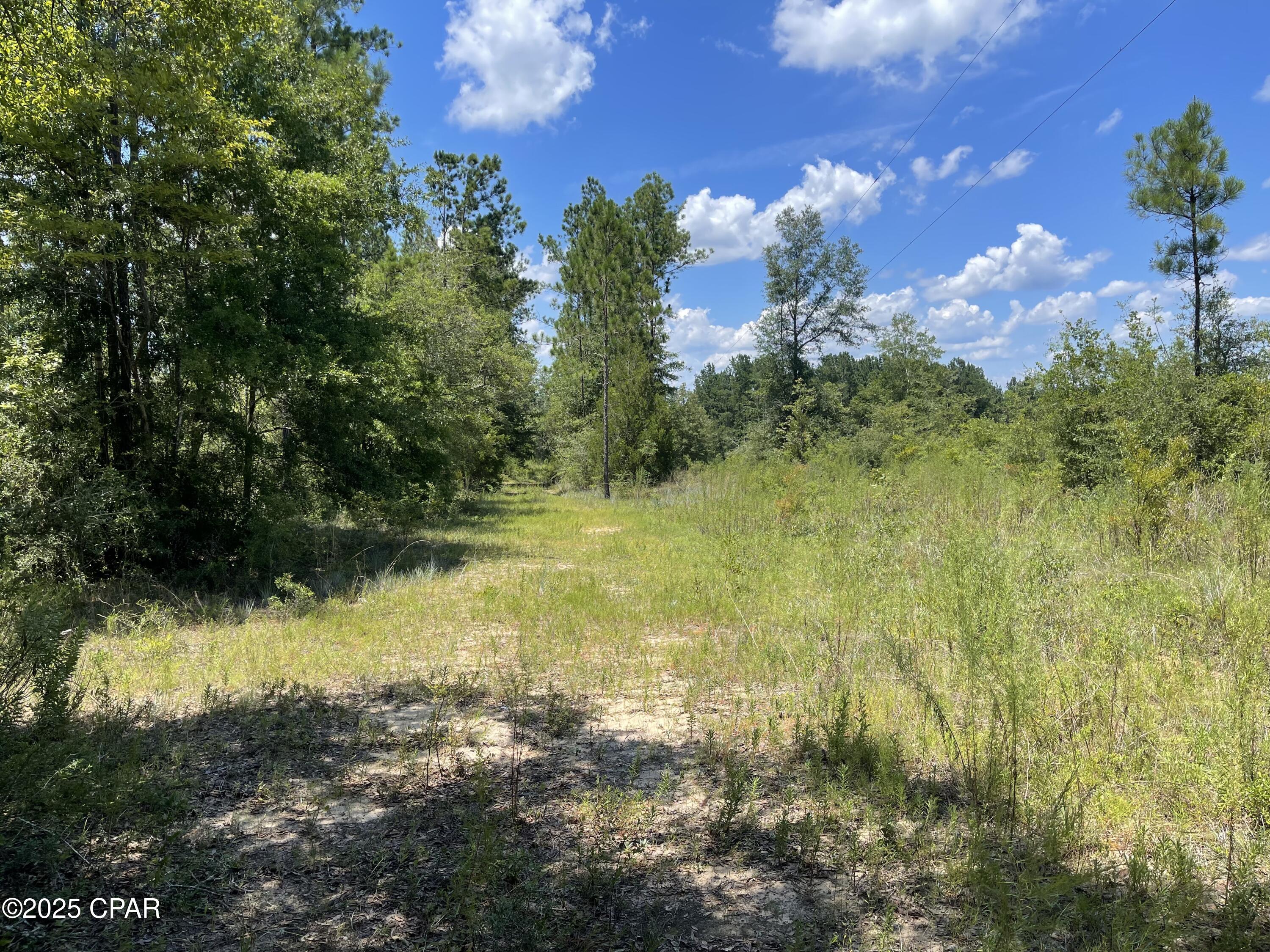 2826 Irene Road Ponce de Leon, FL 32455 - Photo 8 of 47