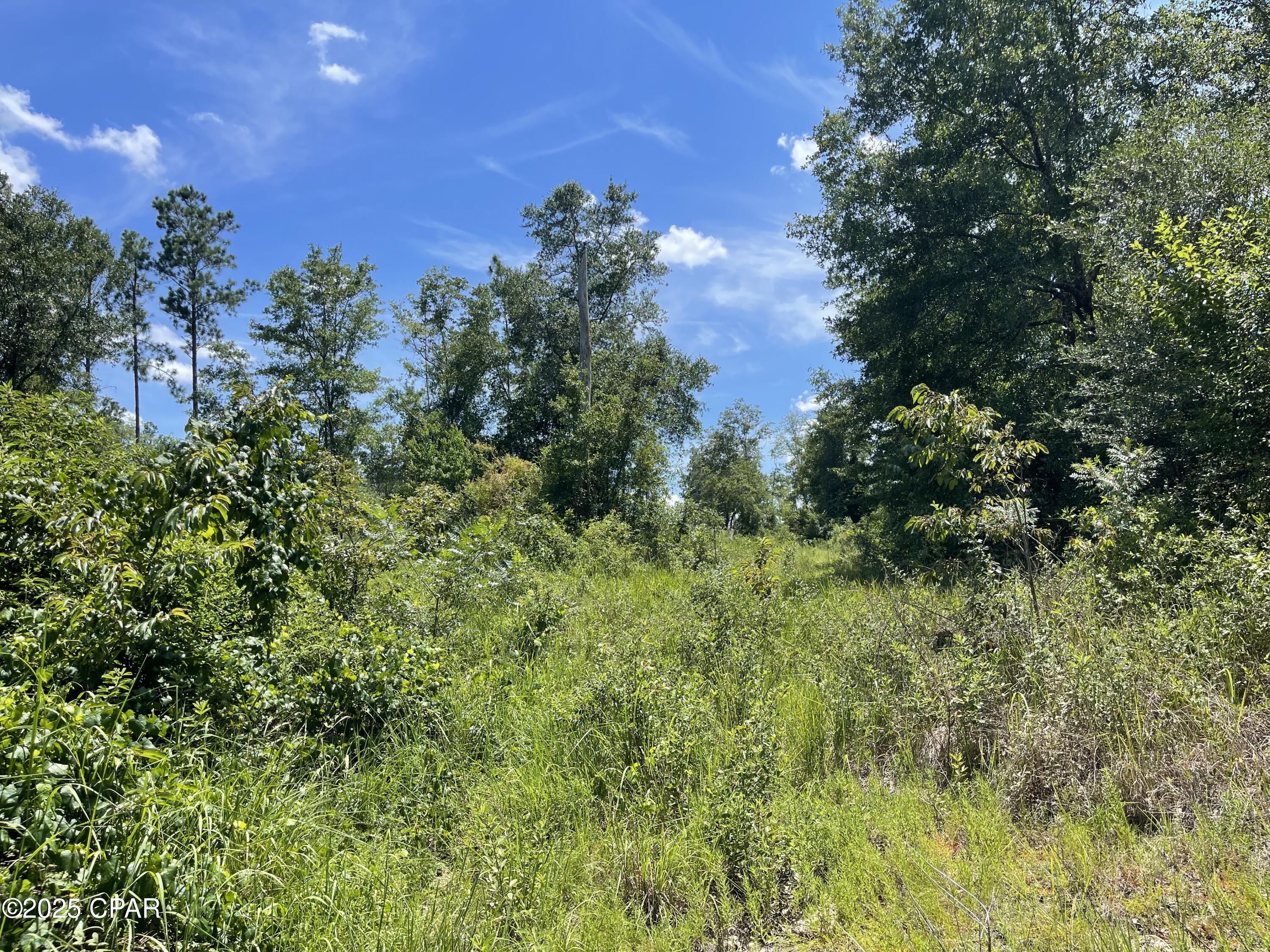 2826 Irene Road Ponce de Leon, FL 32455 - Photo 9 of 47