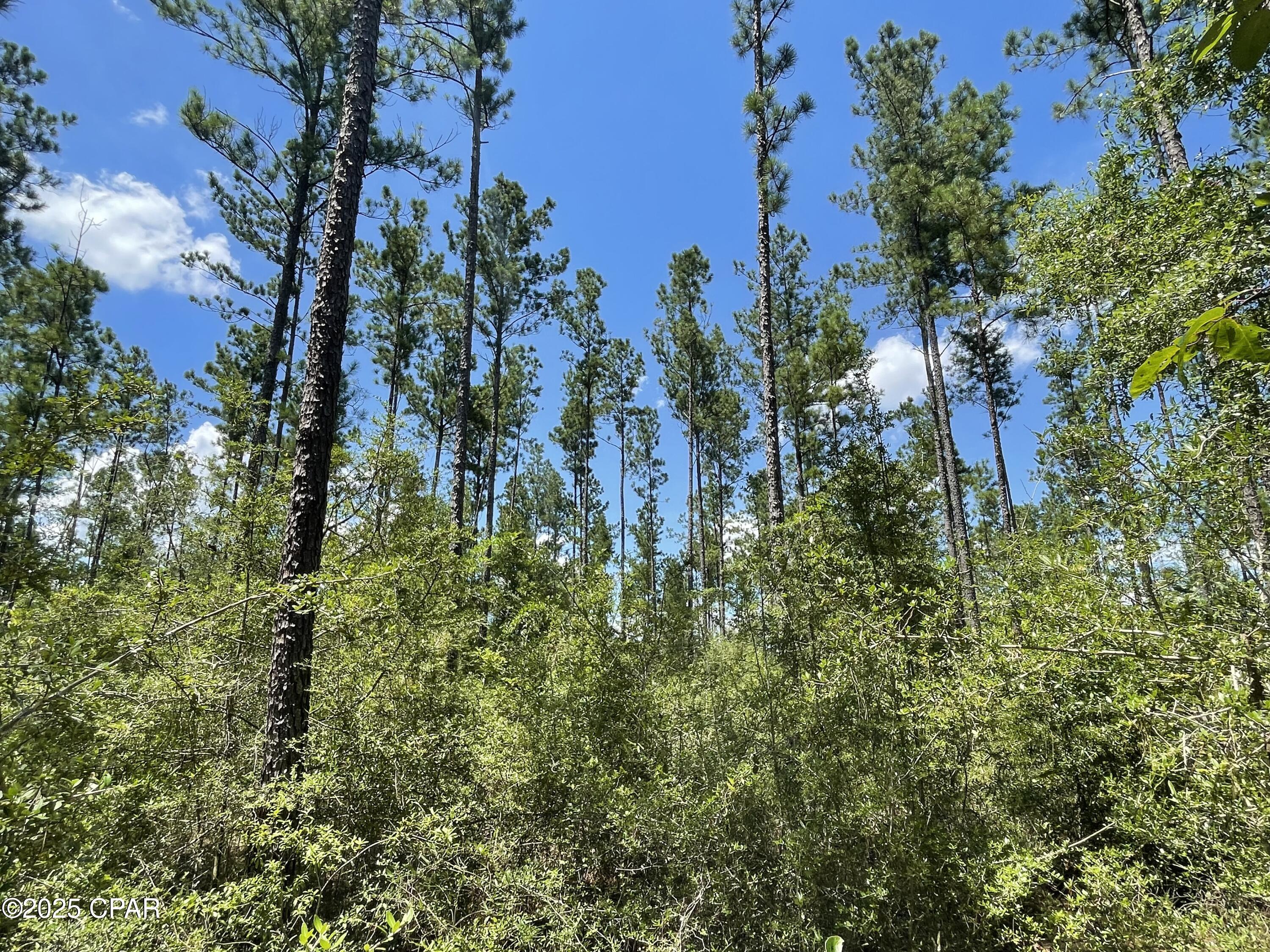 2826 Irene Road Ponce de Leon, FL 32455 - Photo 10 of 47