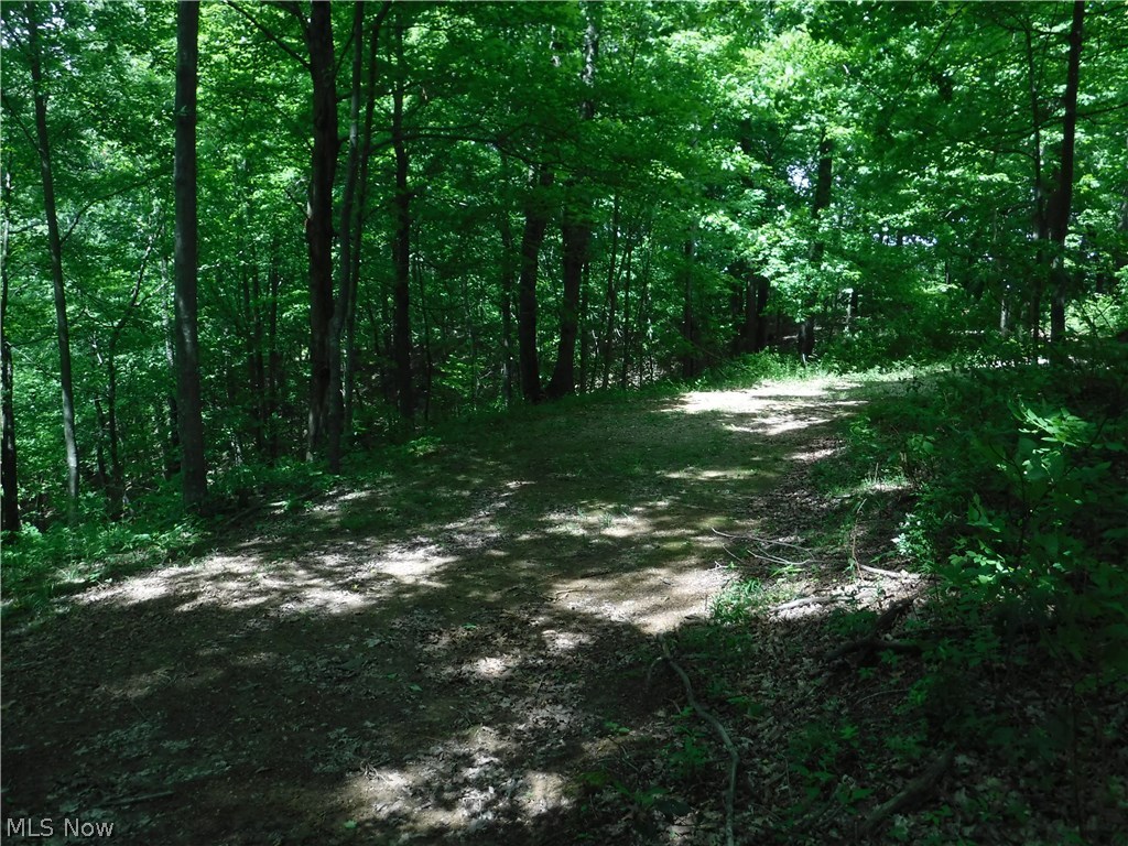 Irish Ridge Road Philo, OH 43771 - Photo 18 of 35