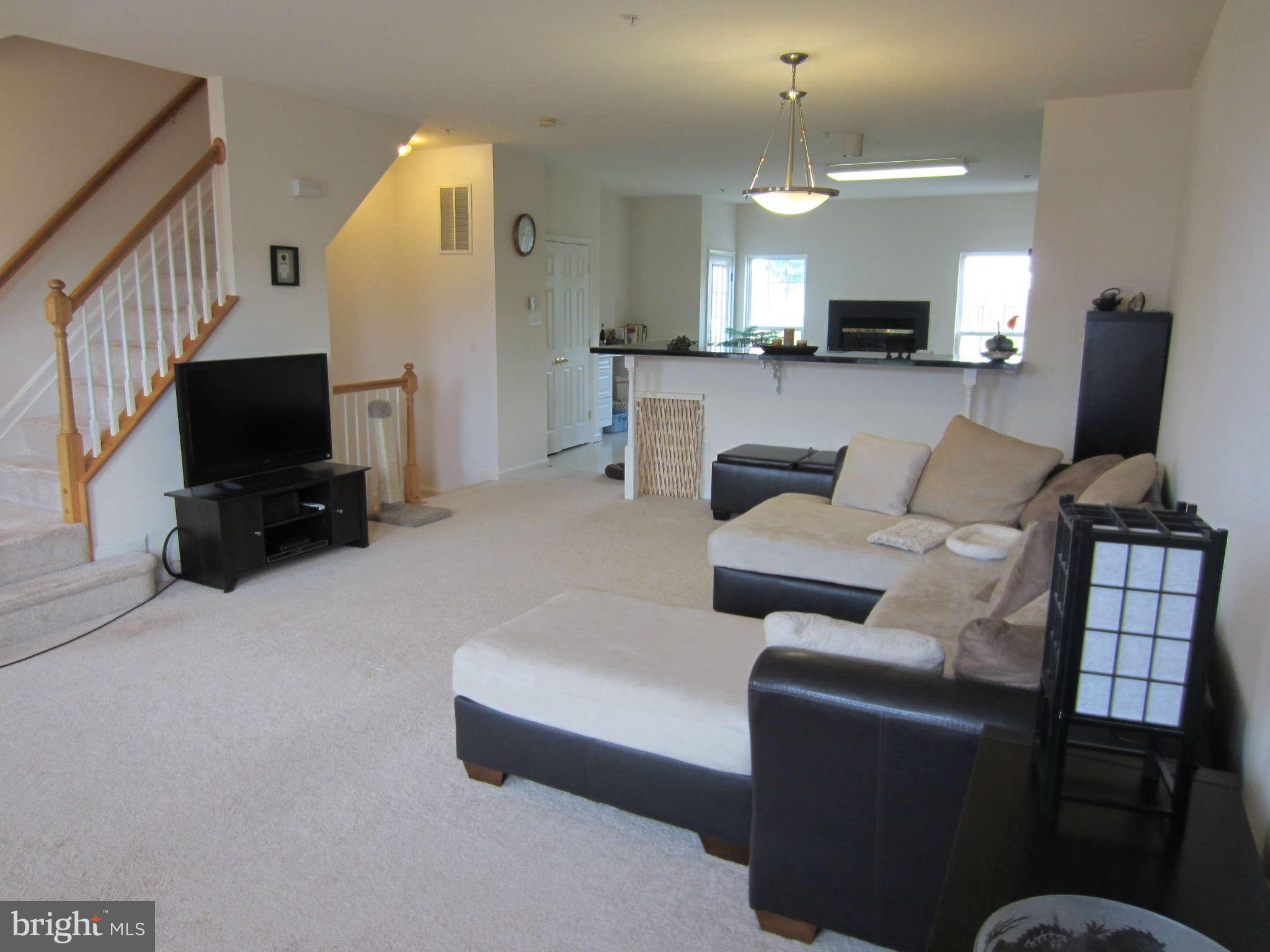 512 Ellison Court Frederick, MD 21703 - Photo 11 of 30 a living room with furniture a fireplace and a flat screen tv