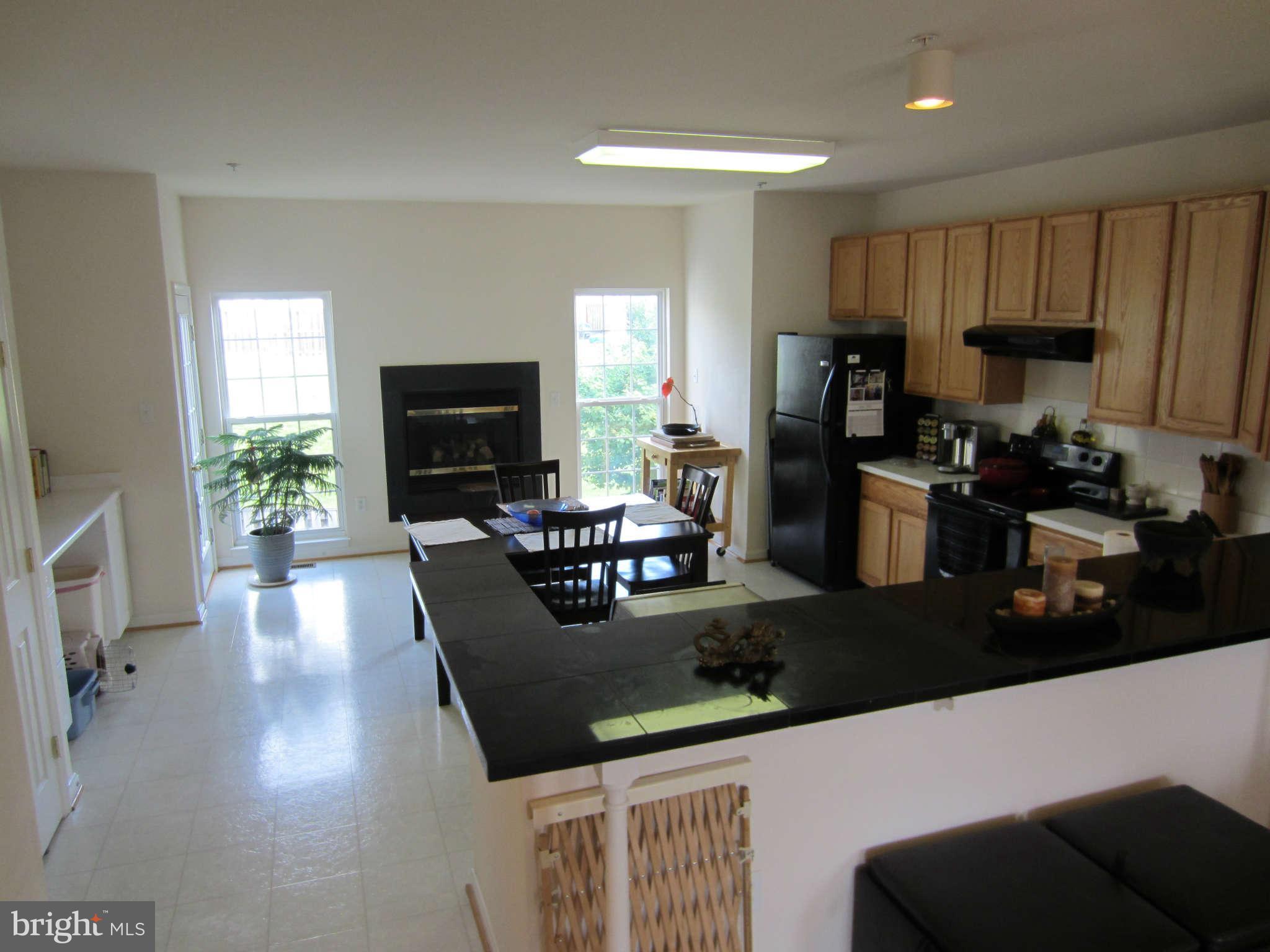 512 Ellison Court Frederick, MD 21703 - Photo 12 of 30 a living room with fireplace furniture and a flat screen tv