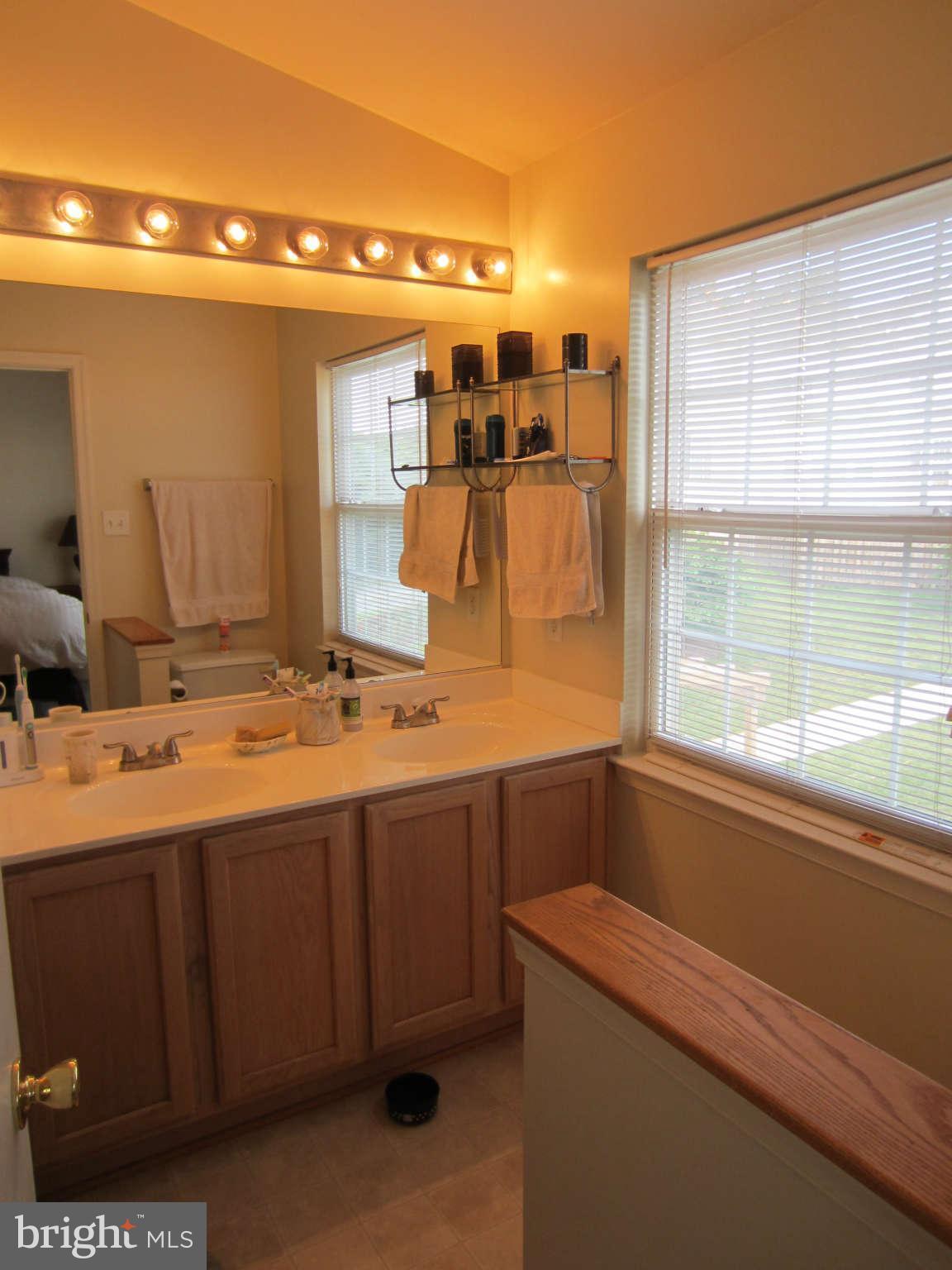 512 Ellison Court Frederick, MD 21703 - Photo 23 of 30 a bathroom with a sink and a mirror