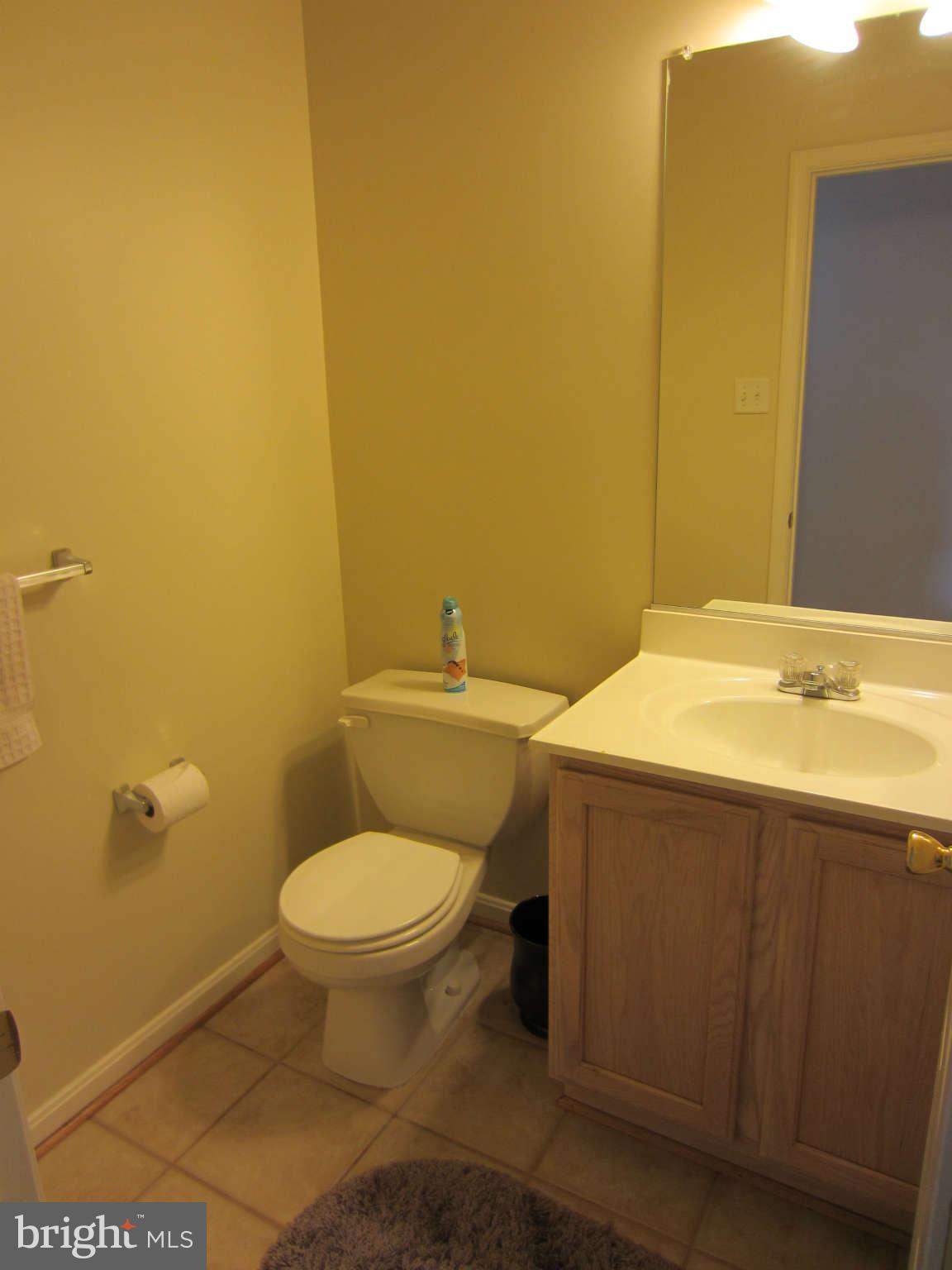 512 Ellison Court Frederick, MD 21703 - Photo 6 of 30 a bathroom with a sink and a toilet