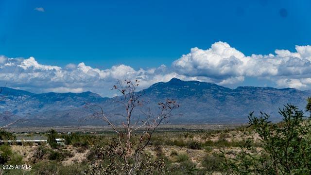 13401 East Walts Way Vail, AZ 85641 - Photo 35 of 41 DSC04537-2