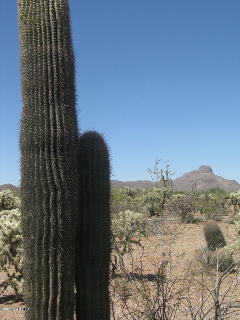 6481 West Ina Road, Unit 4 Tucson, AZ 85743 - Photo 13 of 14