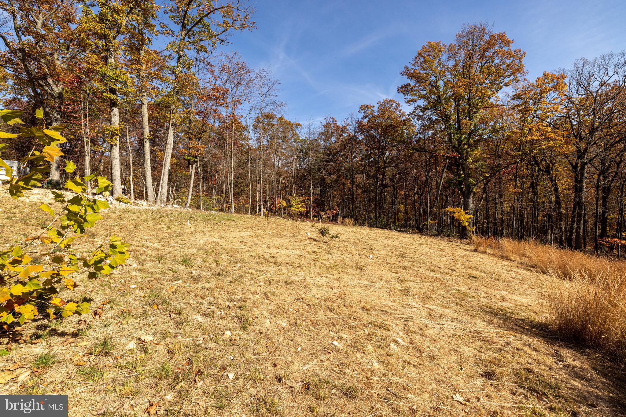 0 Moreland Gap Road Mount Jackson, VA 22842 - Photo 15 of 37