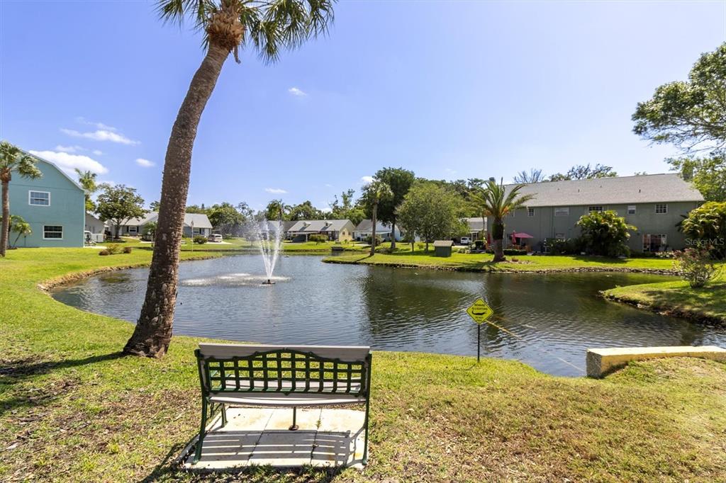 6129 Elmhurst Drive New Port Richey, FL 34653 - Photo 31 of 34 swimming pool view with a lake view