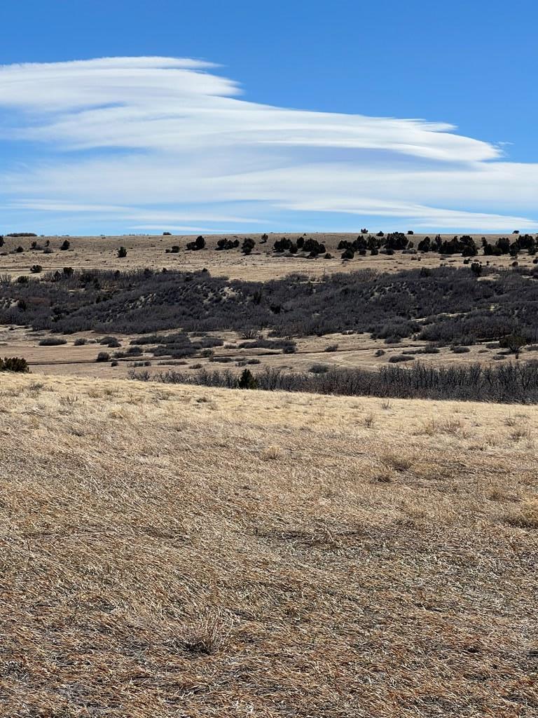 Lot 381 Big Bend Rye, CO 81069 - Photo 5 of 19 Gallery Image 5