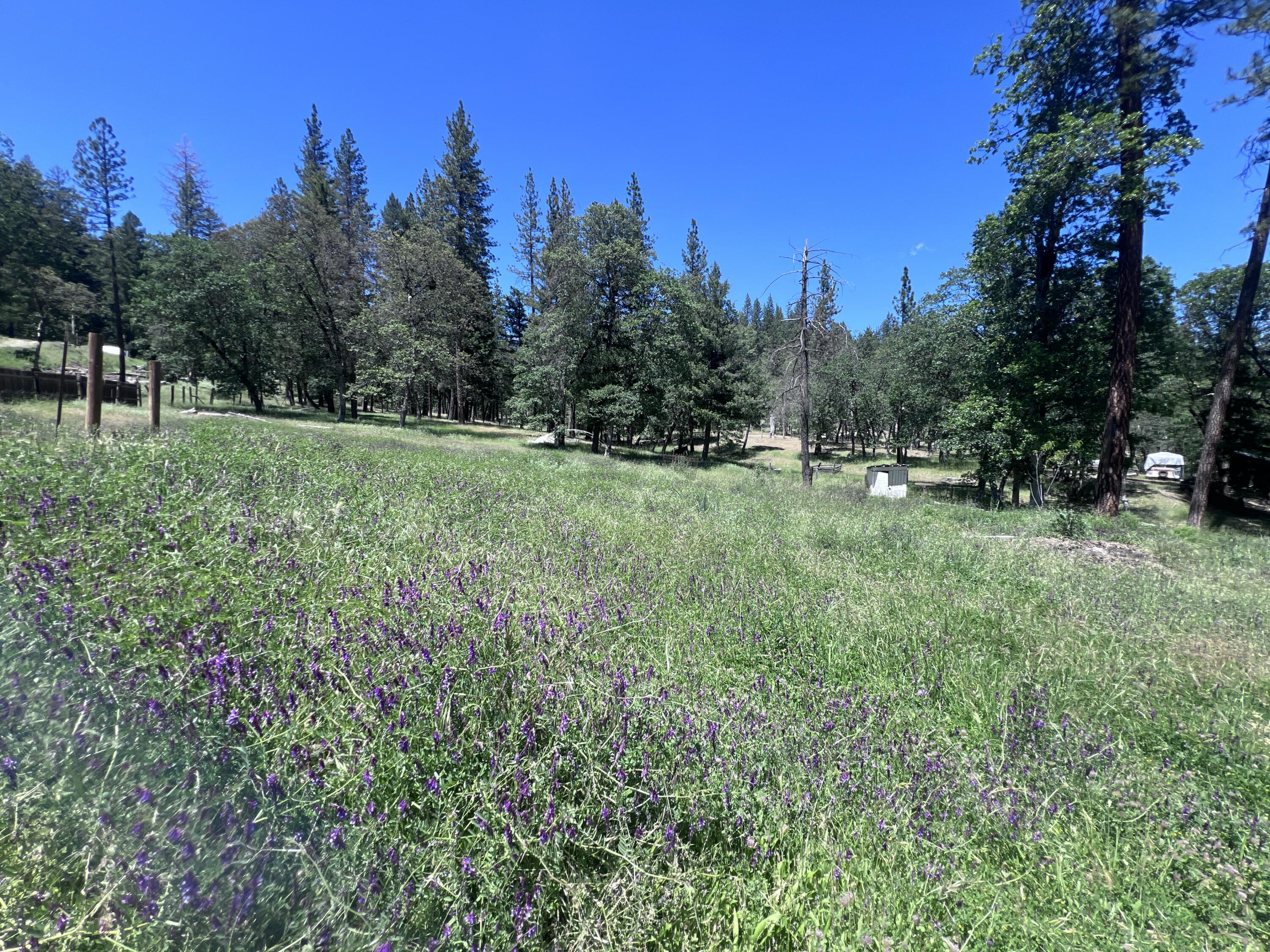 1411 Mc Alexander Road Hayfork, CA 96041 - Photo 15 of 38 Blue sky