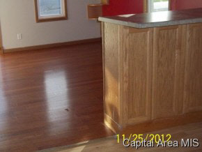 208 North 2nd Street Alpha, IL 61413 - Photo 2 of 9 Gallery Image 2