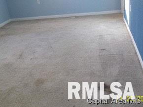 208 North 2nd Street Alpha, IL 61413 - Photo 4 of 9 Gallery Image 4