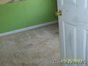 208 North 2nd Street Alpha, IL 61413 - Photo 6 of 9 Gallery Image 6