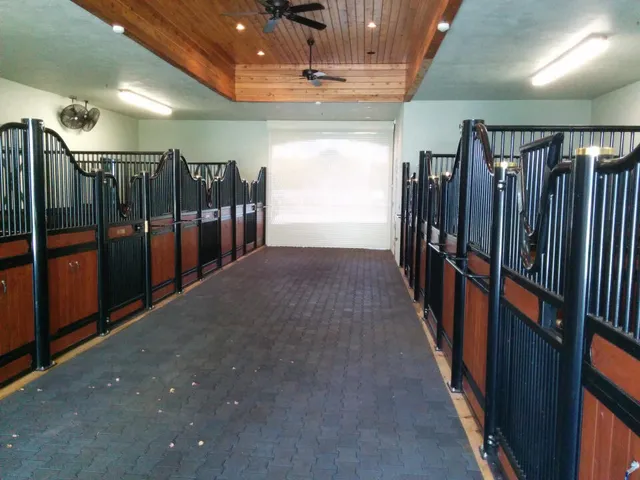 a view of a house with backyard and patio