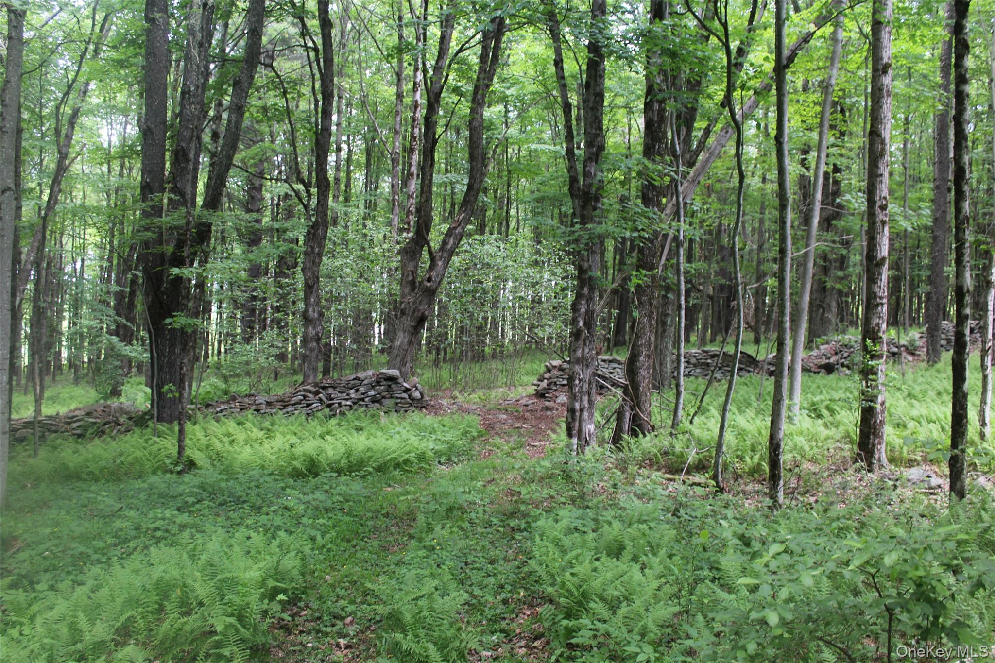 624 County Road Fremont Center, NY 12736 - Photo 34 of 40 Wooded acreage featuring mature trees, natural ground cover, and stone wall remnants