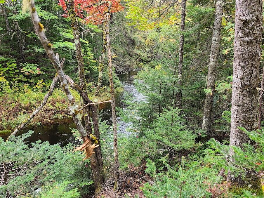 Lot 6 Estabrook Road Amity, ME 04471 - Photo 13 of 23 20210927_104939