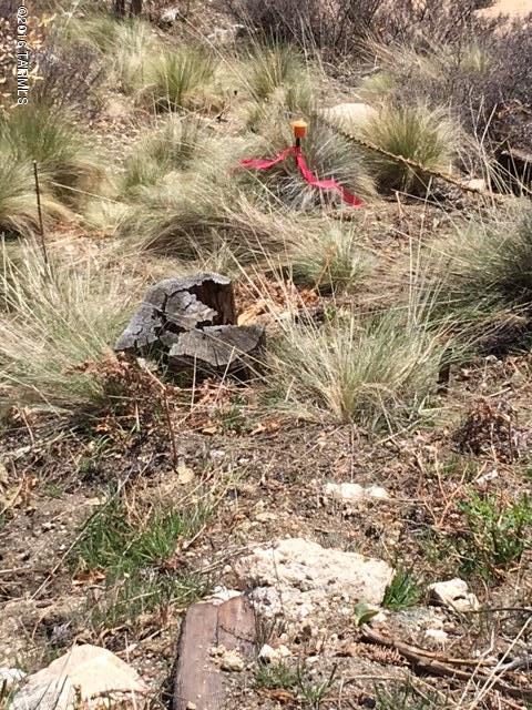 11179 East Upper Goat Hill Road, Unit 17 Mount Lemmon, AZ 85619 - Photo 9 of 10